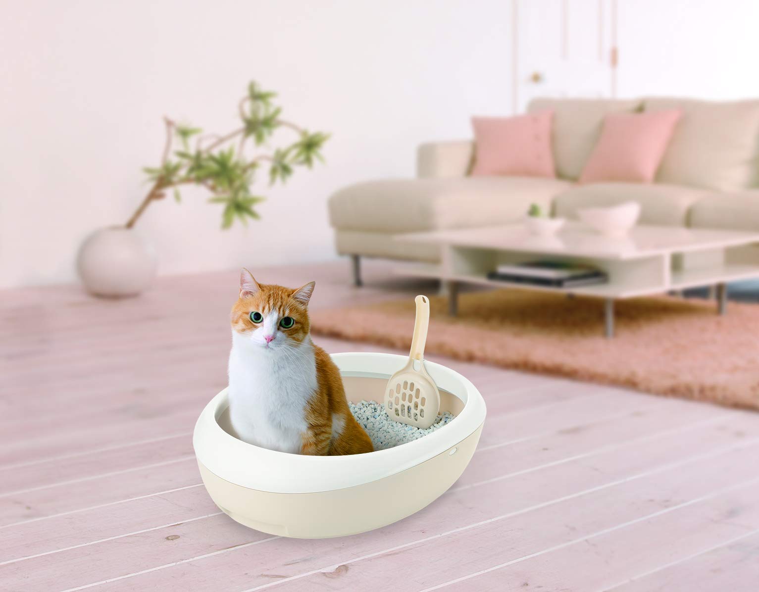 Amazon | リッチェル 猫用トイレ本体 ラプレ ネコトイレ ホワイト M